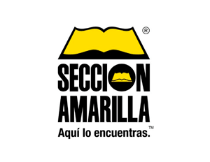 seccion-amarilla